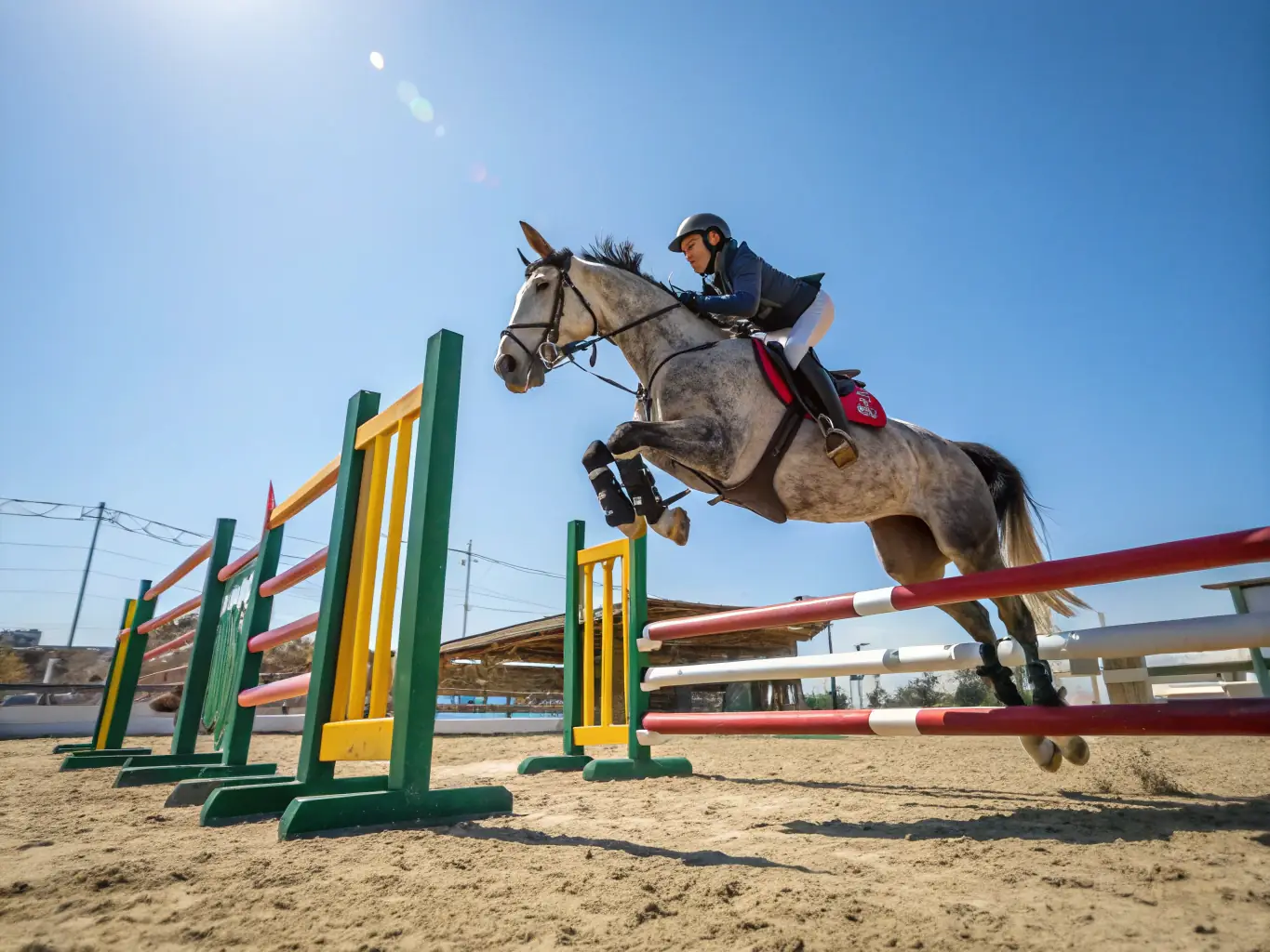 A rider in full equestrian gear gracefully jumping over an obstacle during a training session at TEV, showcasing the precision and skill involved in show jumping.